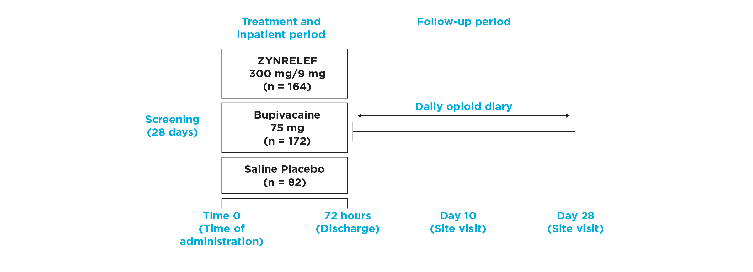 Timeline overview of EPOCH 2 Herniorrhaphy study design from screening through follow up.